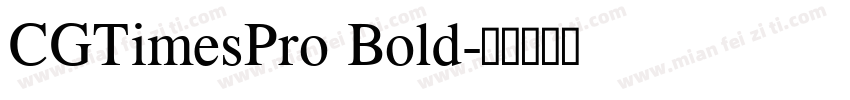 CGTimesPro Bold字体转换